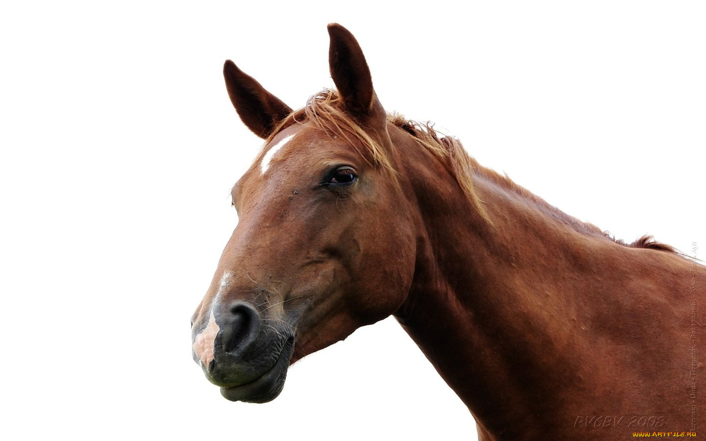 , 